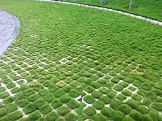 Grass Protection Grid