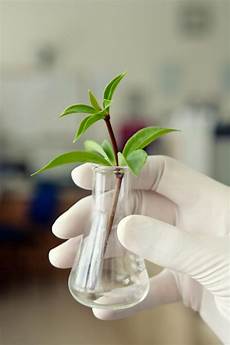 Agricultural Pesticide