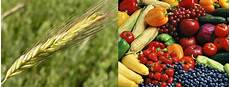 Agricultural Pesticide