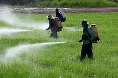 Agriculture Chemical