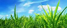 Agriculture Chemical