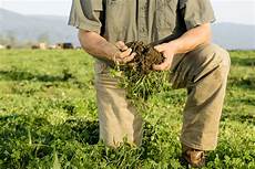 Agriculture Chemical