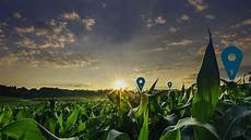 Agriculture Farm