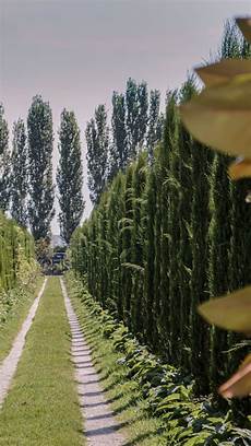Agriculture Farm