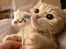 Baby Socks