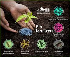 Bacteria Fertilizer