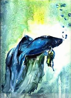 Bluefish