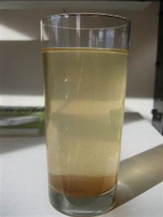 Bottle Cup