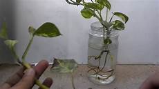 Bottle Feeding