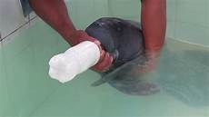 Bottle Feeding