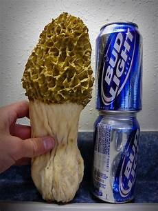 Cans