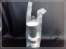 Carton Bag