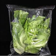 Carton Bag