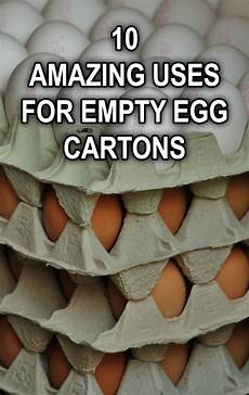 Carton Box