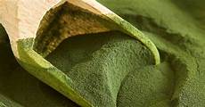 Chlorella