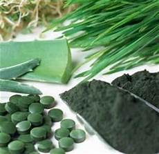 Chlorella