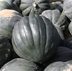 Cornichons