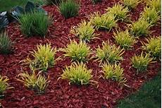 Decorative Mulchs