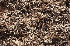 Decorative Mulchs