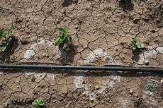 Drip Fertilizer