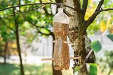 Feeder Bottle