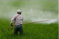 Fertilizer Chemical