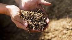 Fertilizer Solution