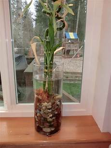 Fertilizer Solution