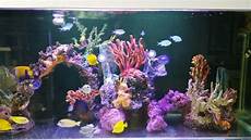 Fishes