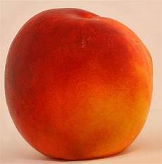 Foodstuff