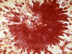 Granulated Sulfur