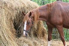 Hay Equipment