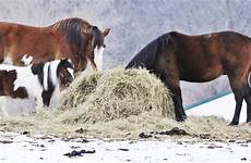 Hay Equipment