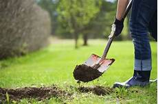 Hole Digger