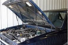 Hood Shocks