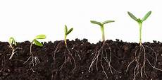 Humic Acid