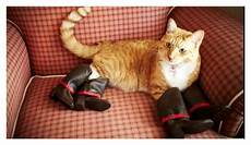 Leather Slippers