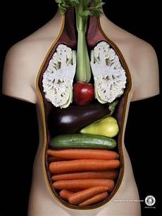 Legume