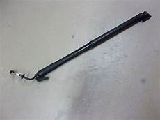 Liftgate Lift Strut