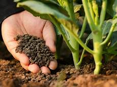Liquid Fertilizer