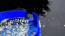 Loading Bucket