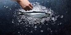 Mackerel