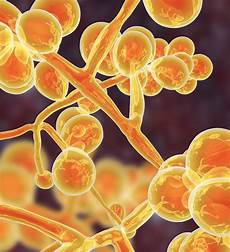 Microbial