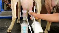 Milking Machine