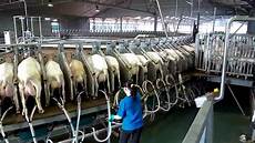 Milking Machine