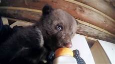 Newborn Bottle