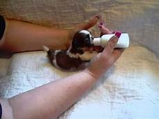 Newborn Bottle