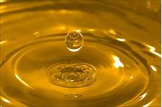 Oil