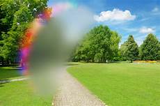 Optical Sight