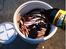 Organic Fertilizer